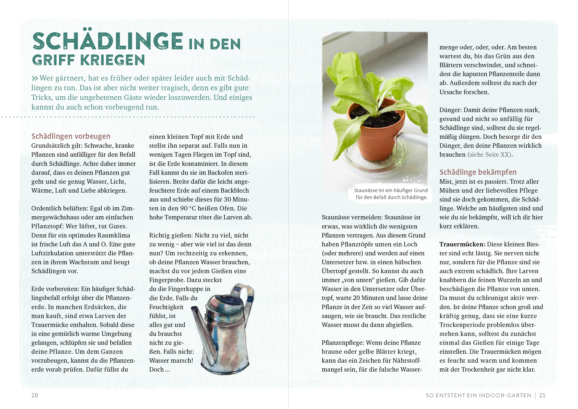 Endlich Mittagspause! Indoor-Gärtnern zwischen Mails und Meetings mit Pflücksalat, Sprossen & Co. Endlich Mittagspause! Indoor-Gärtnern zwischen Mails und Meetings mit Pflücksalat, Sprossen & Co.