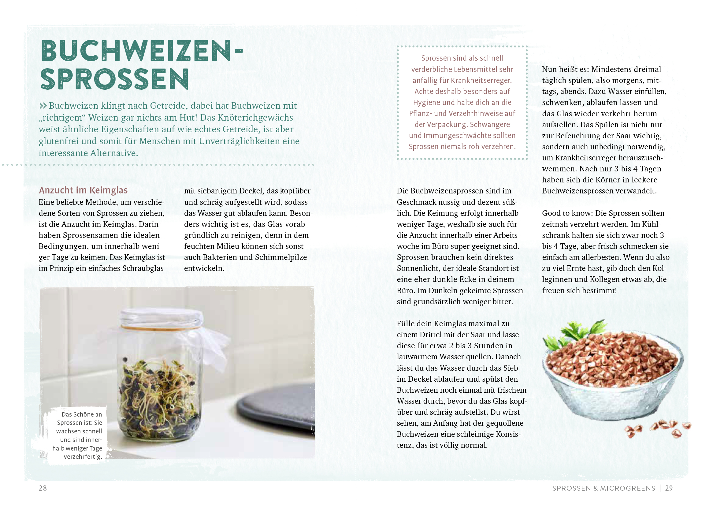 Endlich Mittagspause! Indoor-Gärtnern zwischen Mails und Meetings mit Pflücksalat, Sprossen & Co. Endlich Mittagspause! Indoor-Gärtnern zwischen Mails und Meetings mit Pflücksalat, Sprossen & Co.