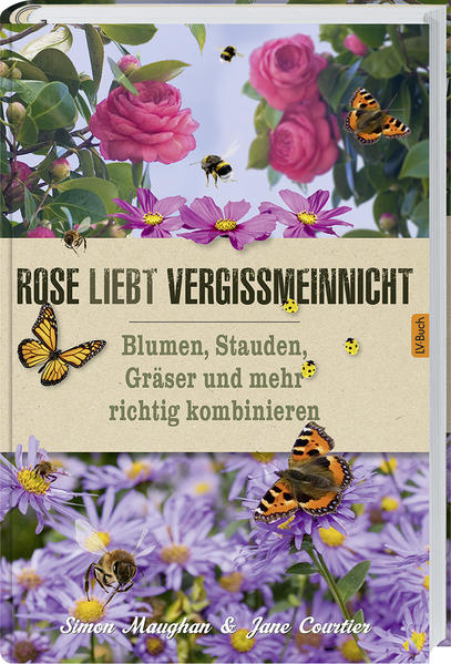 Rose liebt Vergissmeinnicht