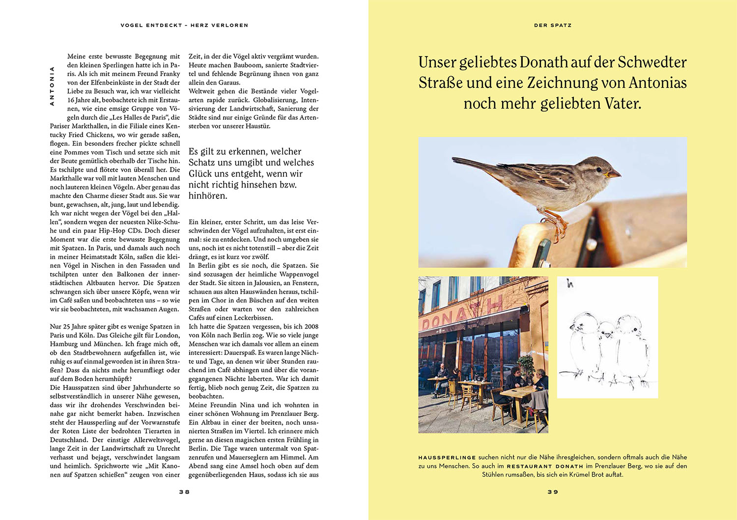 Vogel entdeckt - Herz verloren Vogel entdeckt - Herz verloren