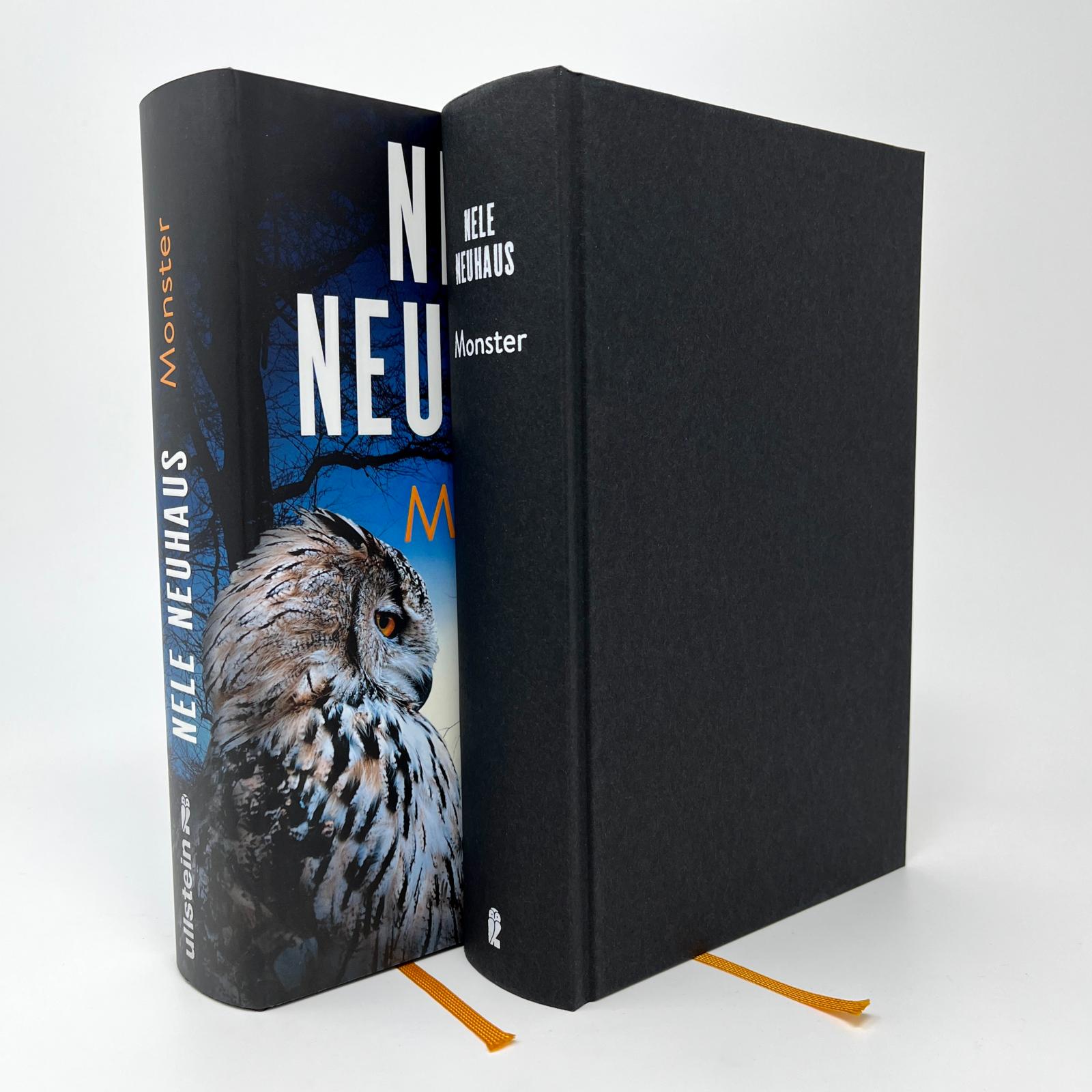 Monster (Ein Bodenstein-Kirchhoff-Krimi 11)