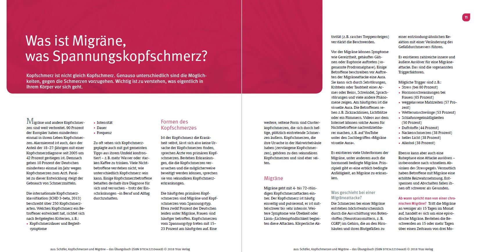 Kopfschmerzen und Migräne - Das Übungsbuch