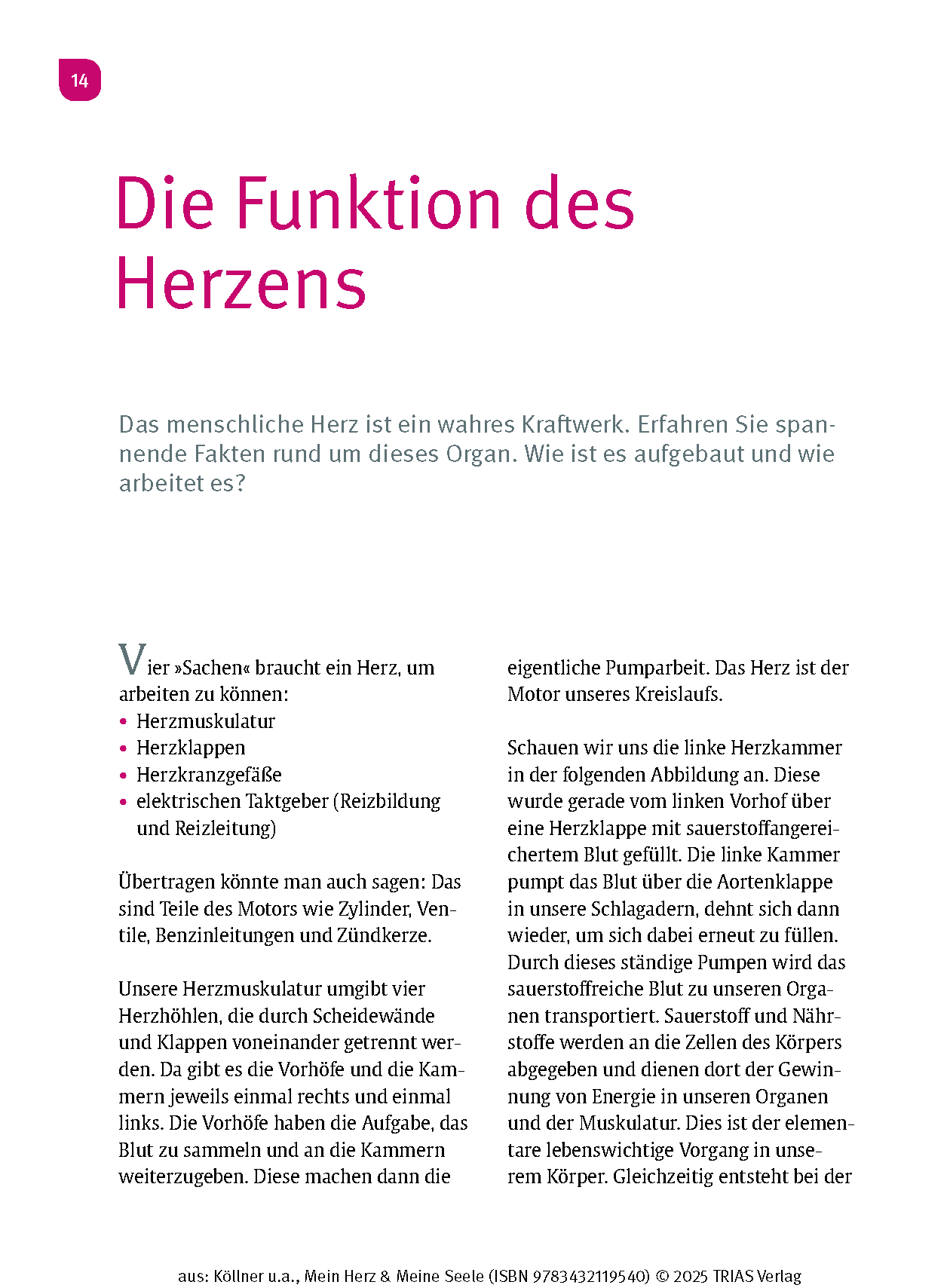 Mein Herz & Meine Seele
