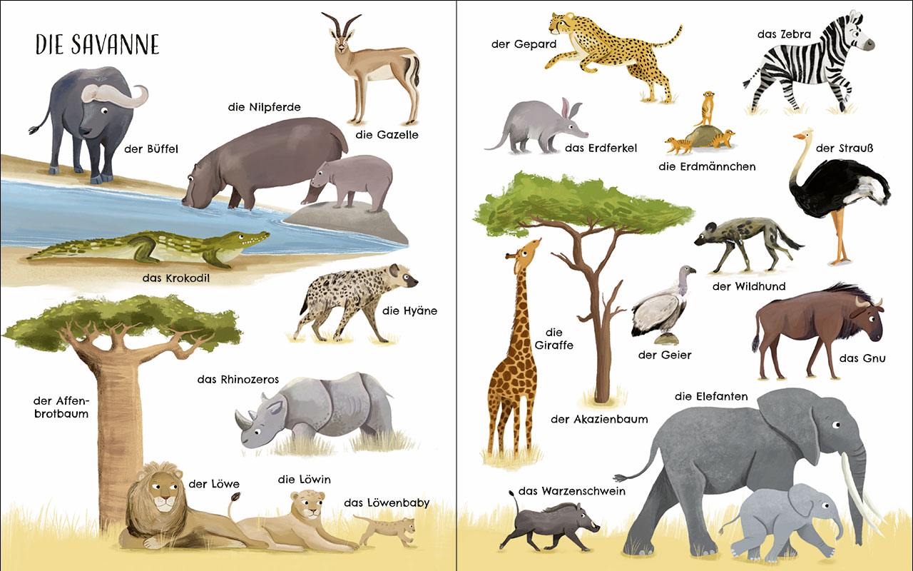 Entdecke die Welt der Tiere - Mein schönstes Bildwörterbuch