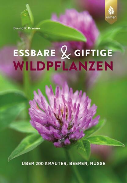 Essbare und giftige Wildpflanzen