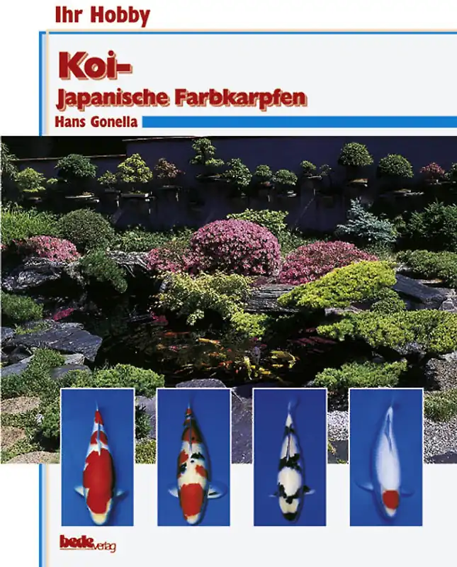 Koi, Ihr Hobby