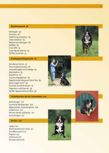 Berner Sennenhund Berner Sennenhund