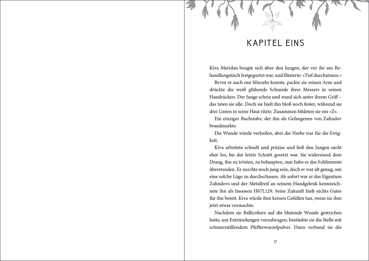 Prison Healer (Band 1) - Die Schattenheilerin