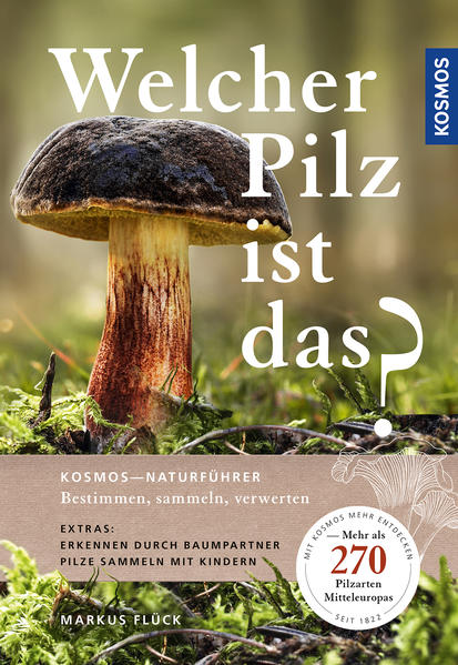 Welcher Pilz ist das?