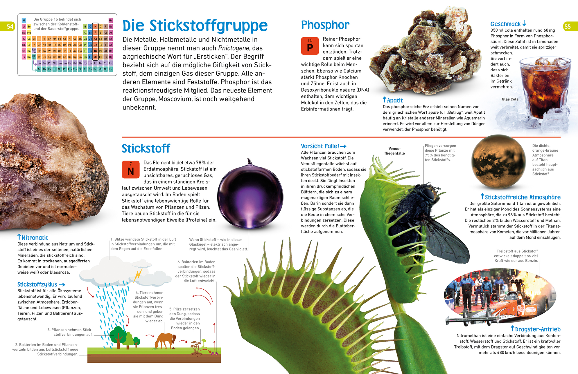 memo Wissen entdecken. Chemische Elemente