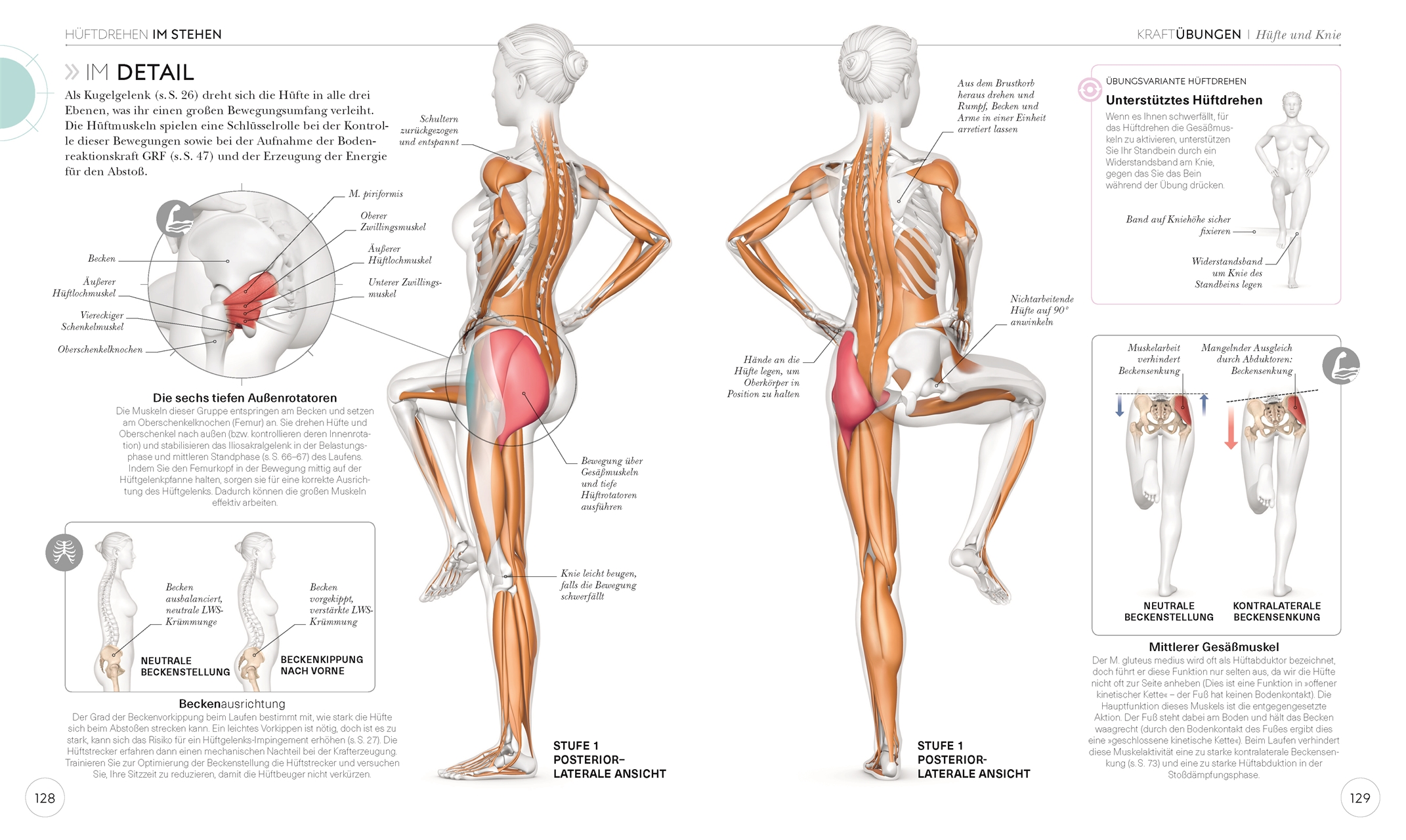 Lauftraining – Die Anatomie verstehen