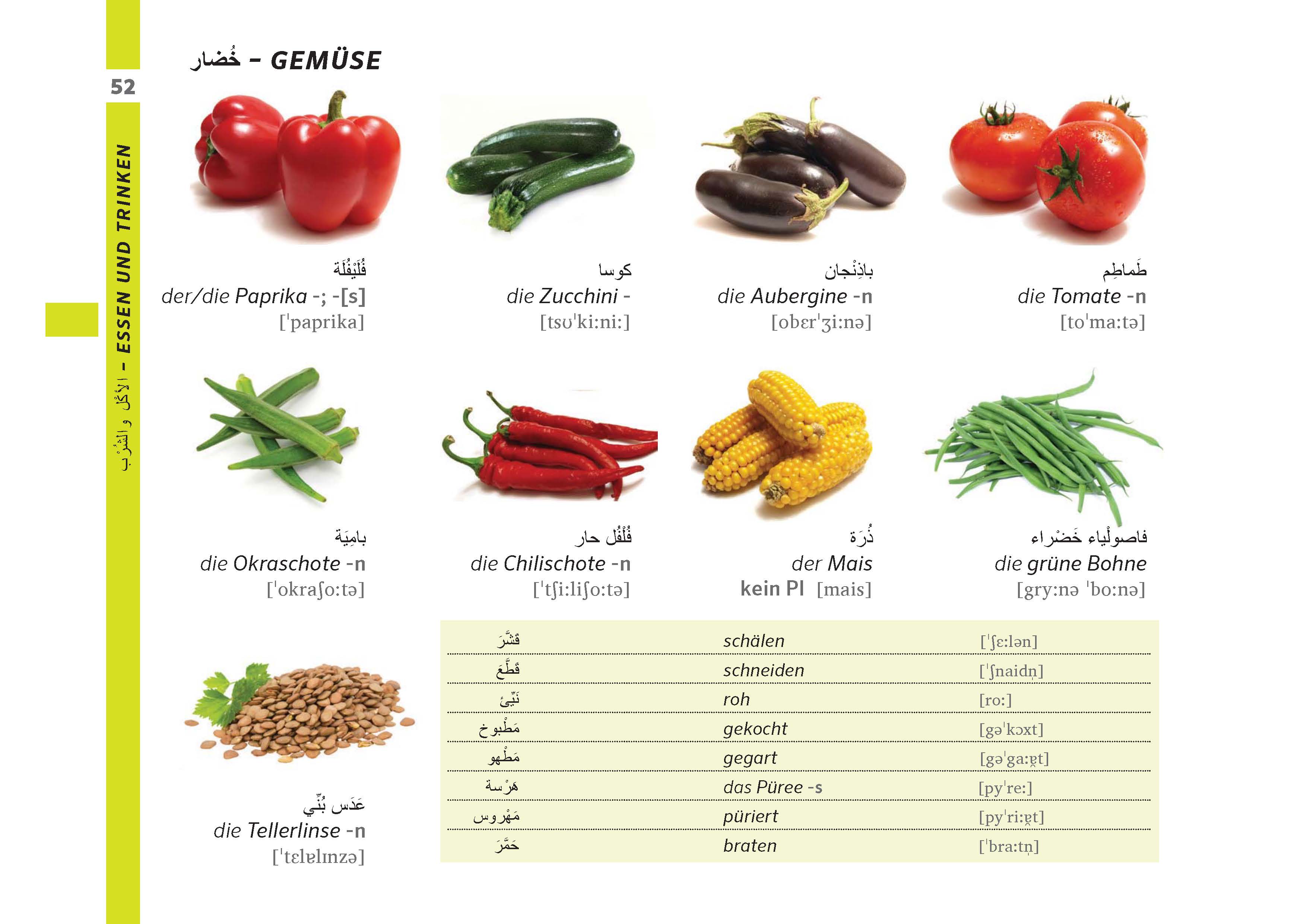 PONS Bildwörterbuch Deutsch (Ausgangssprache Arabisch)