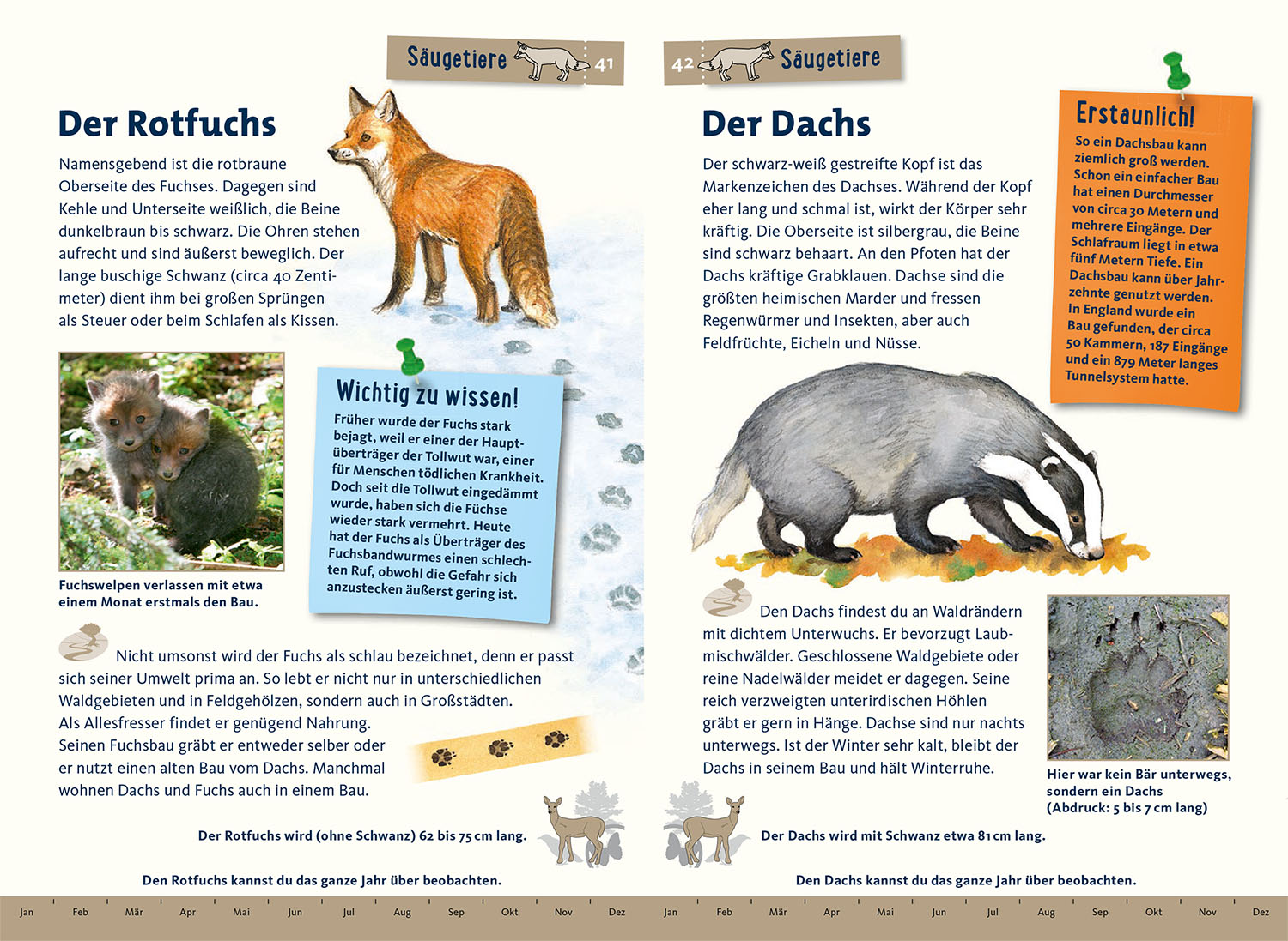 Was lebt im Wald? Kindernaturführer