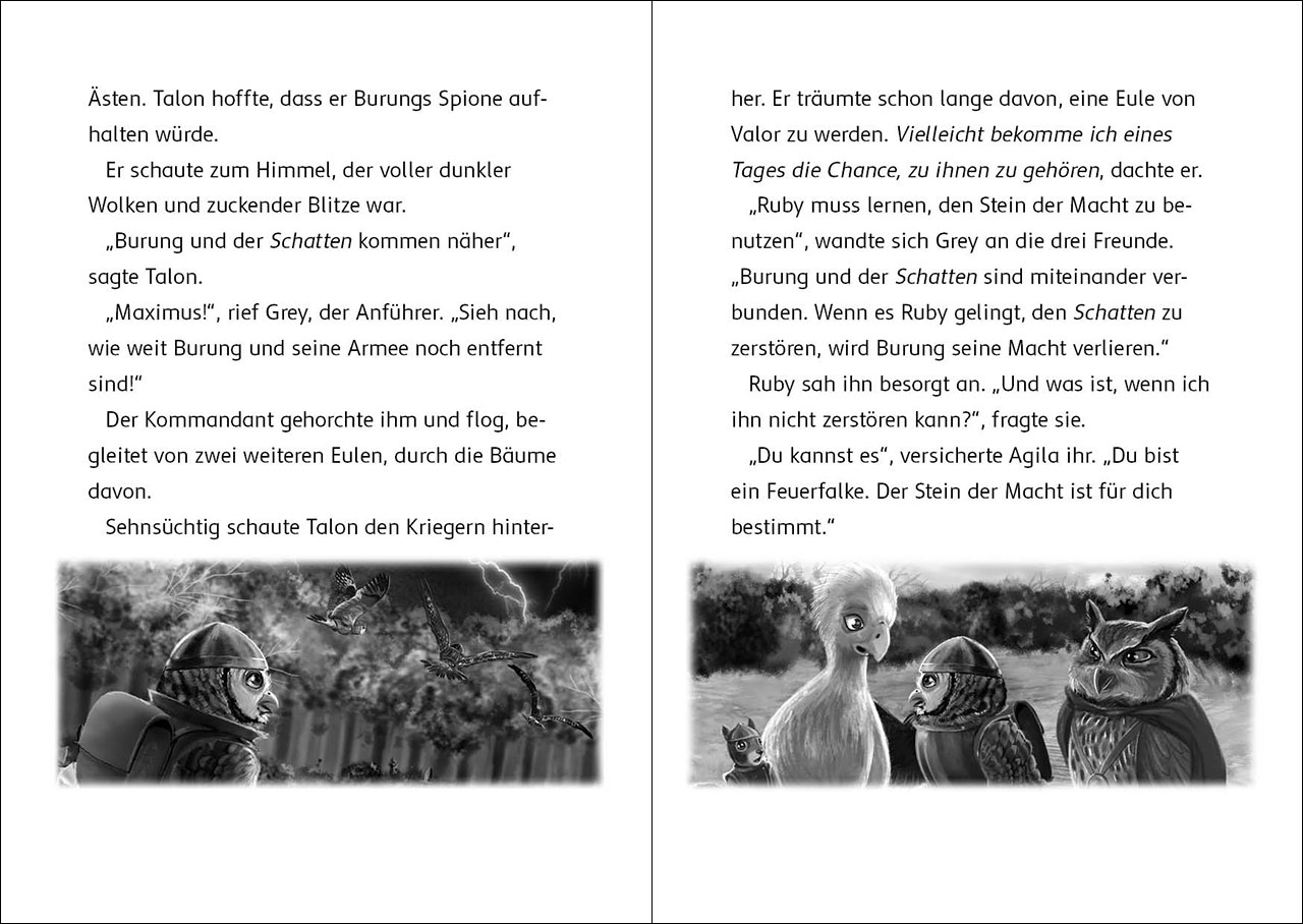 Der letzte Feuerfalke und die dunkle Magie (Band 6)