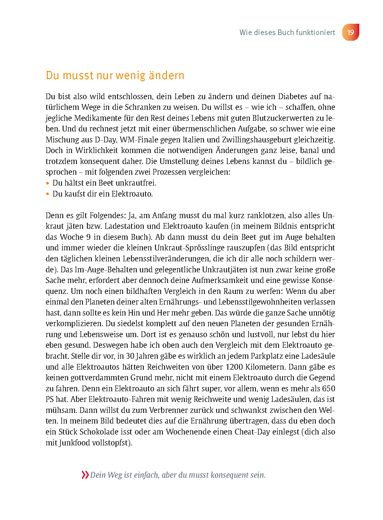 Der Anti-Diabetes-Plan - Das Praxisbuch