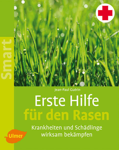 Erste Hilfe für den Rasen