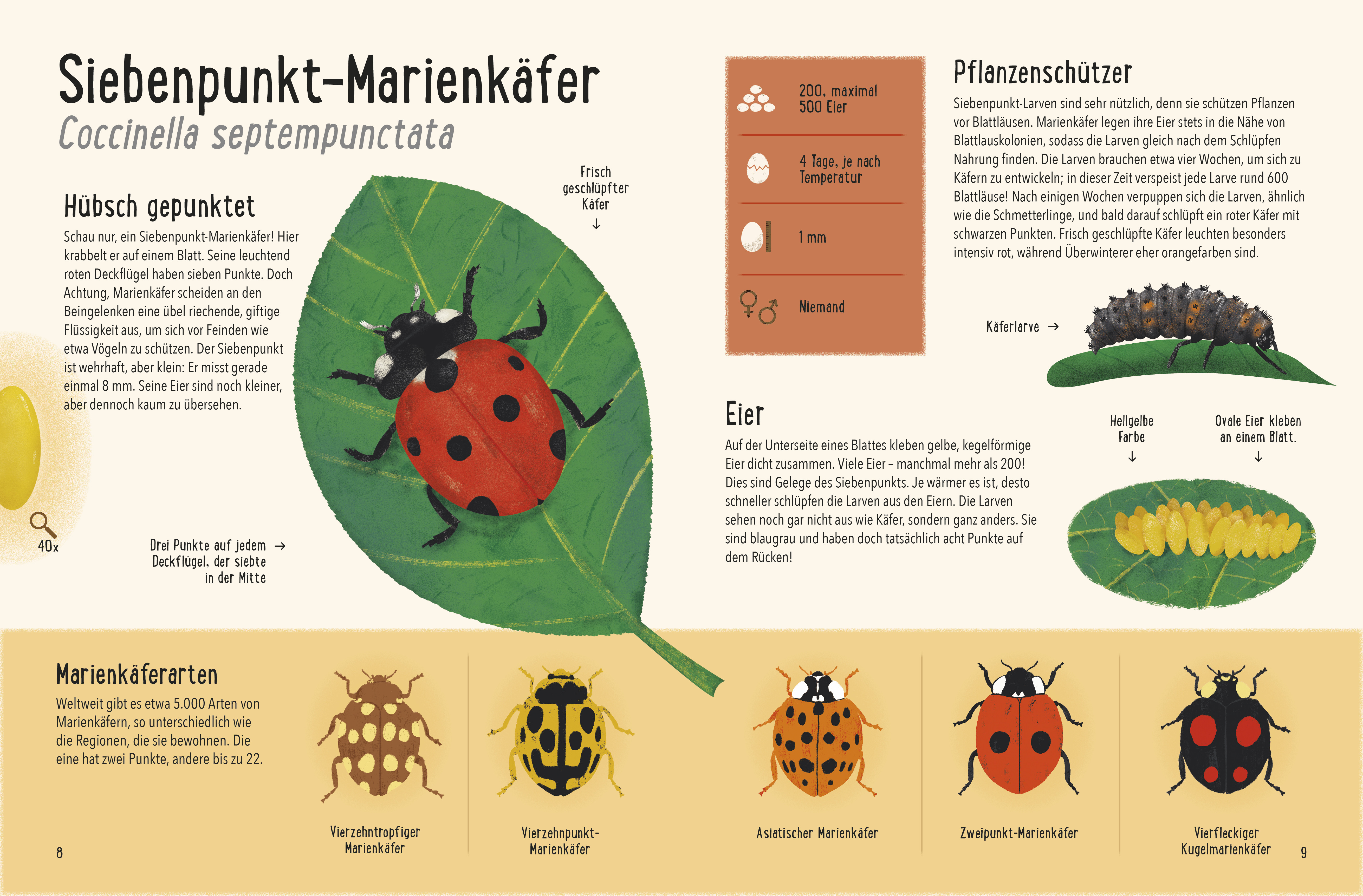 Frisch geschlüpft! - Tiere und ihre Eier