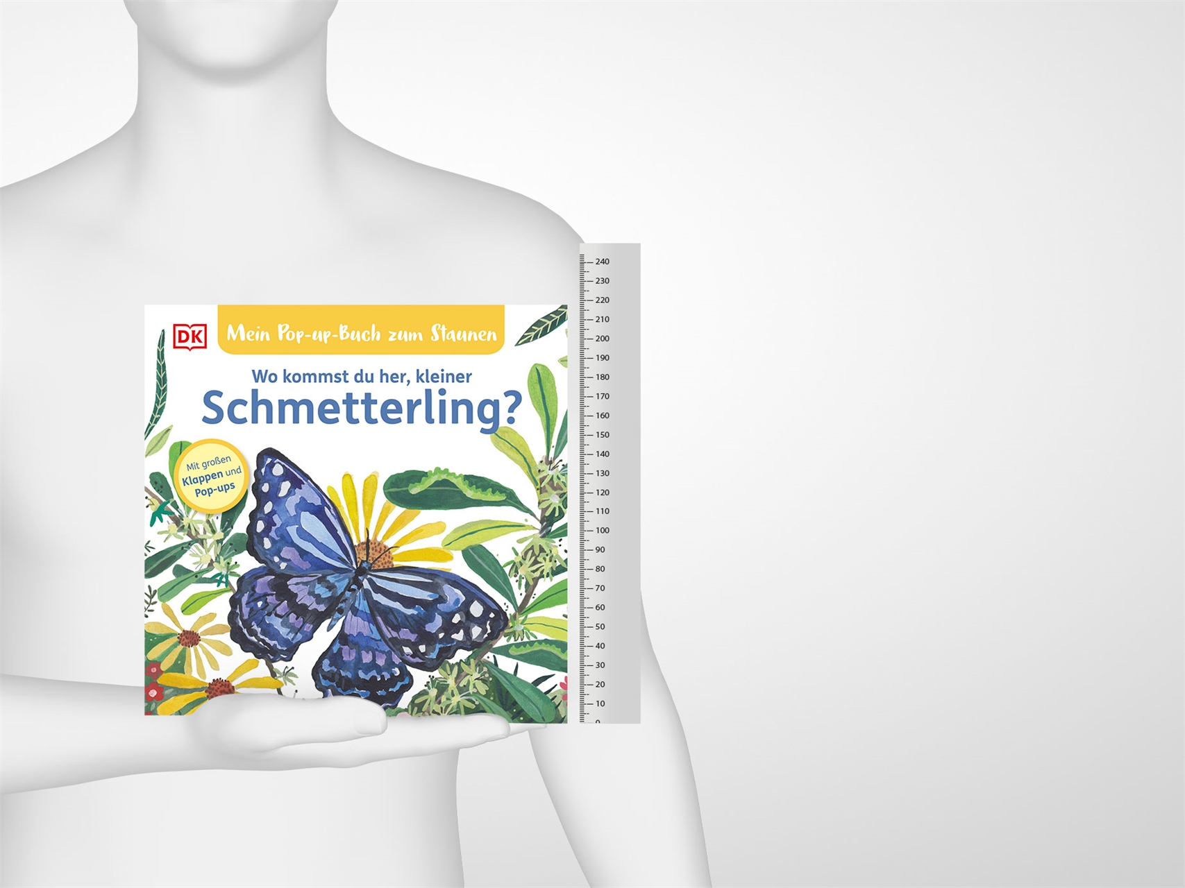Mein Pop-up-Buch zum Staunen. Wo kommst du her, kleiner Schmetterling?