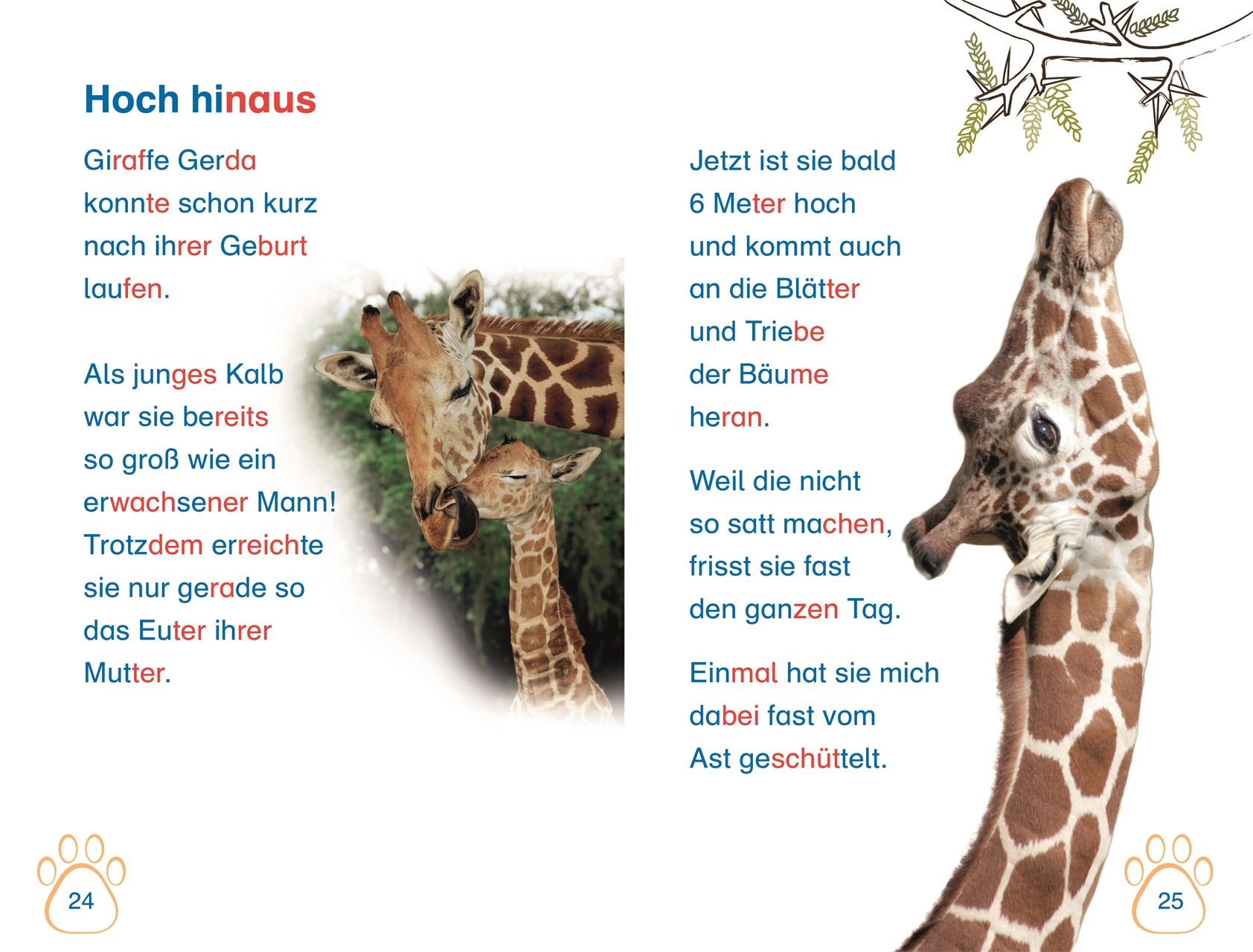 SUPERLESER! Nachwuchs bei uns im Zoo