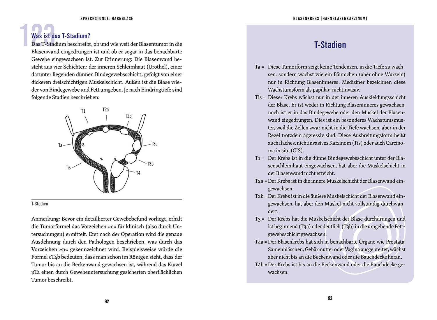 In der Sprechstunde: Harnblase; Verstehen - behandeln - heilen