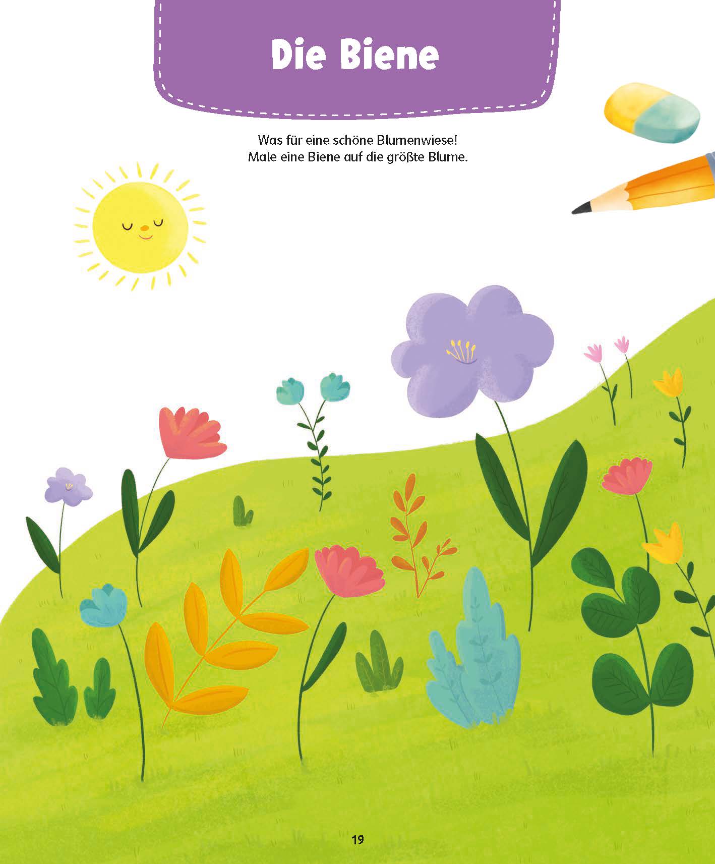 QUID+ Zahlen und Mengen entdecken und verstehen