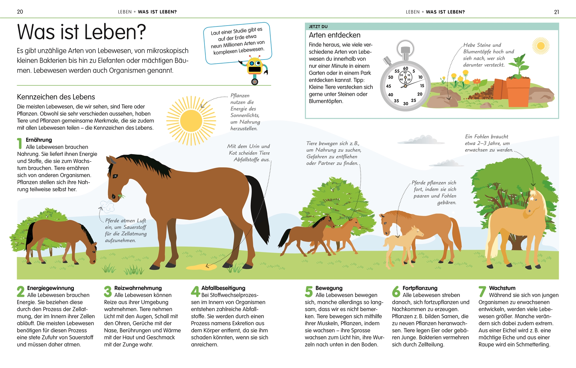 Natur & Technik - kein Problem!