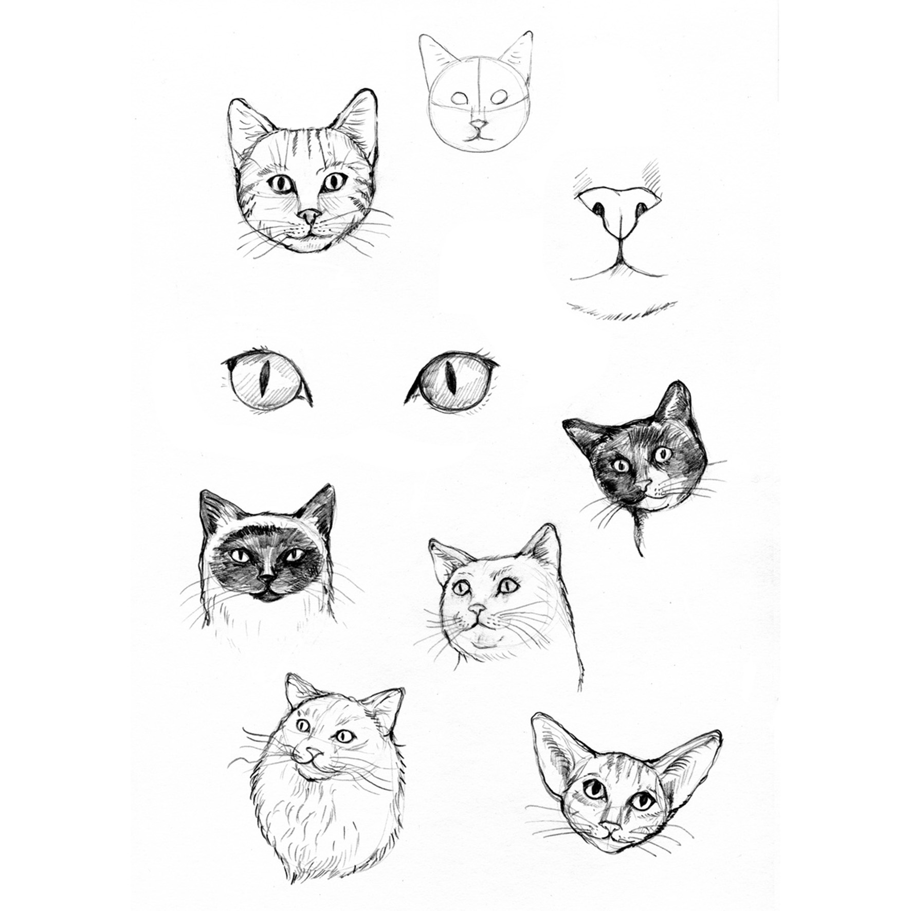 Die große Zeichenbibliothek