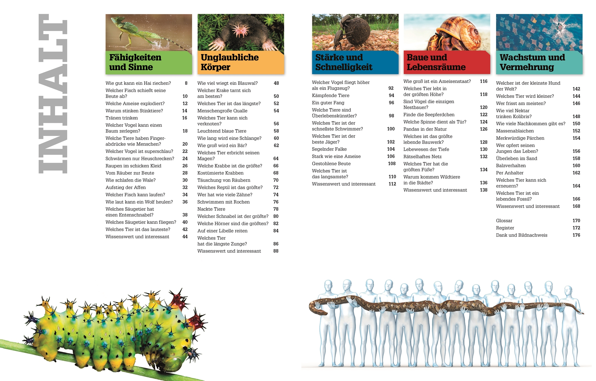 Total verrückte Tiere