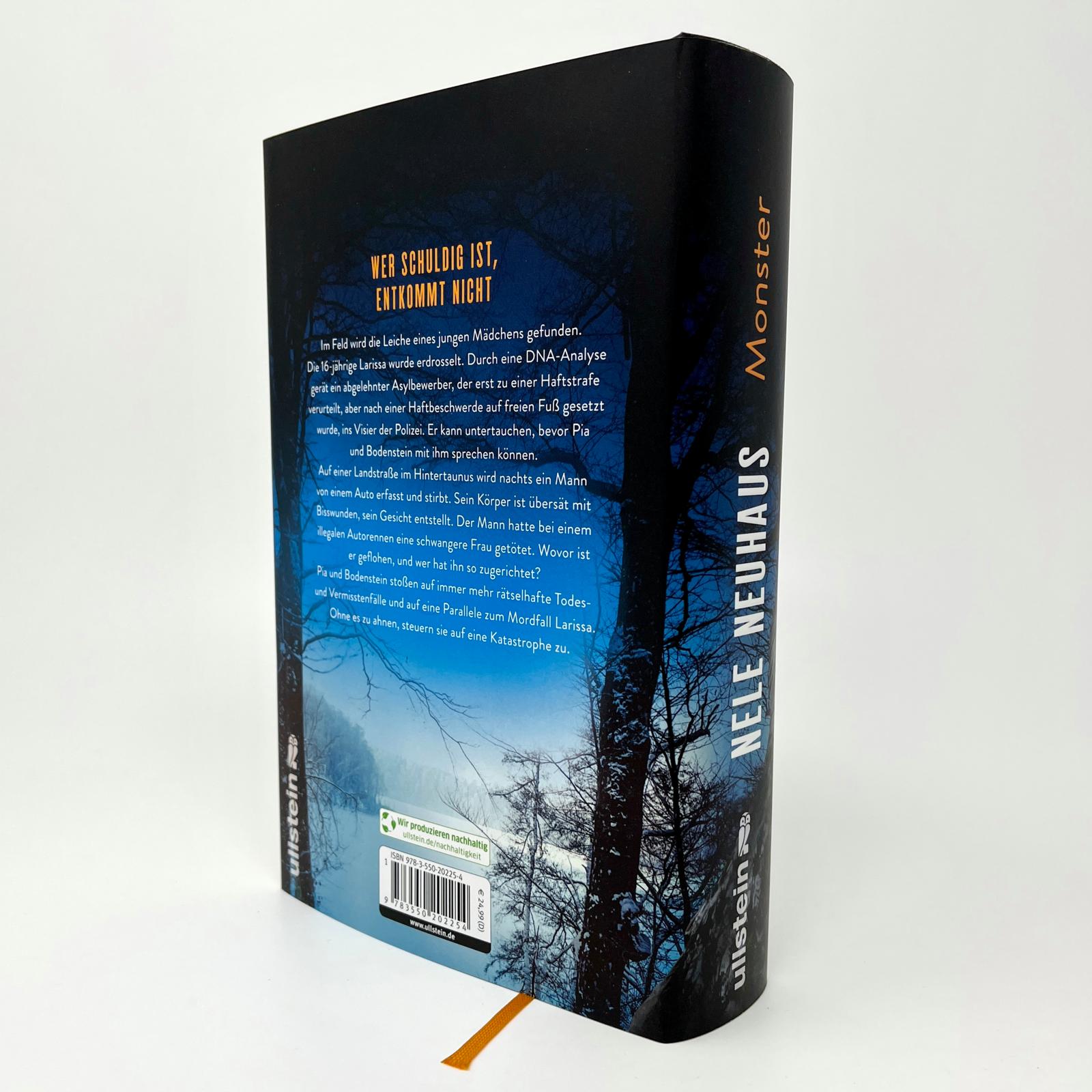 Monster (Ein Bodenstein-Kirchhoff-Krimi 11)