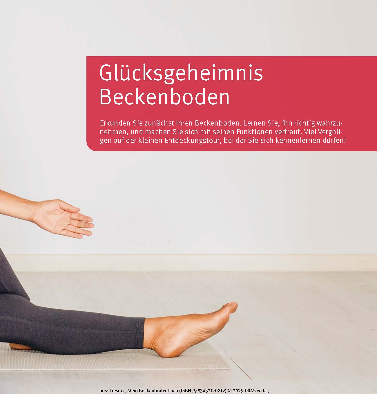 Mein Beckenbodenbuch