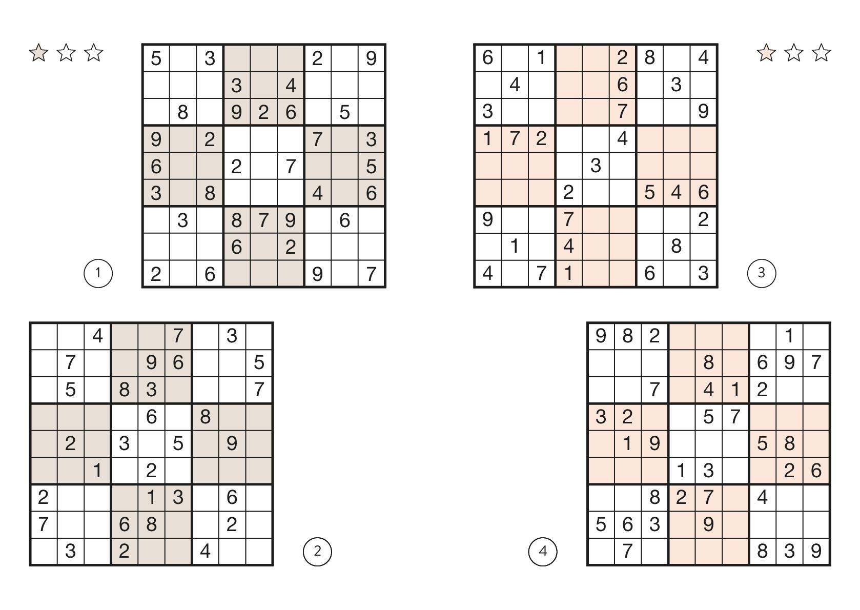 Sudoku Buch
