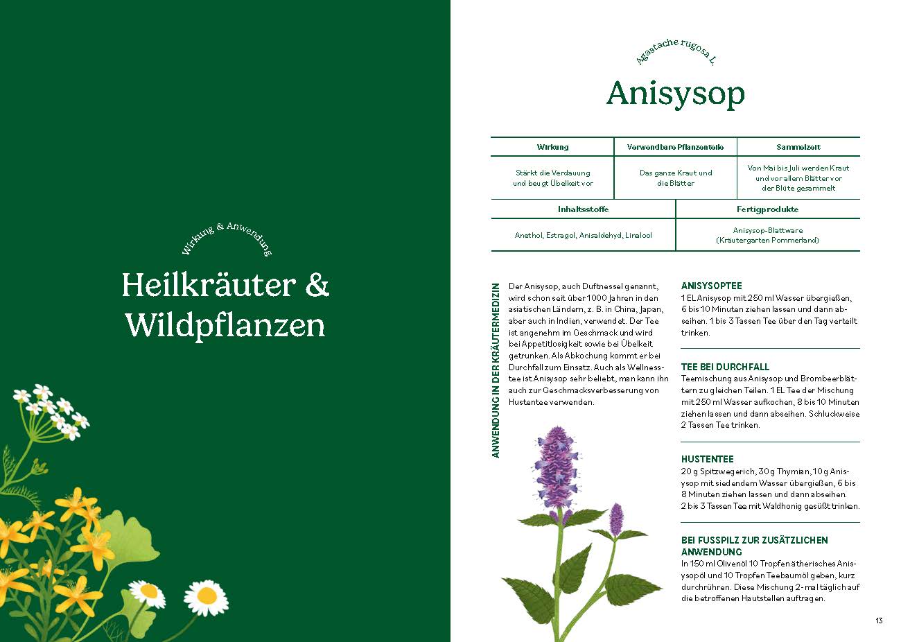 Heilen mit pflanzlichen Antibiotika