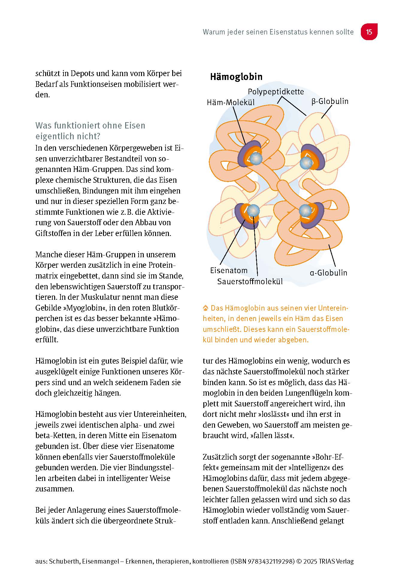 Eisenmangel - Erkennen, therapieren, kontrollieren