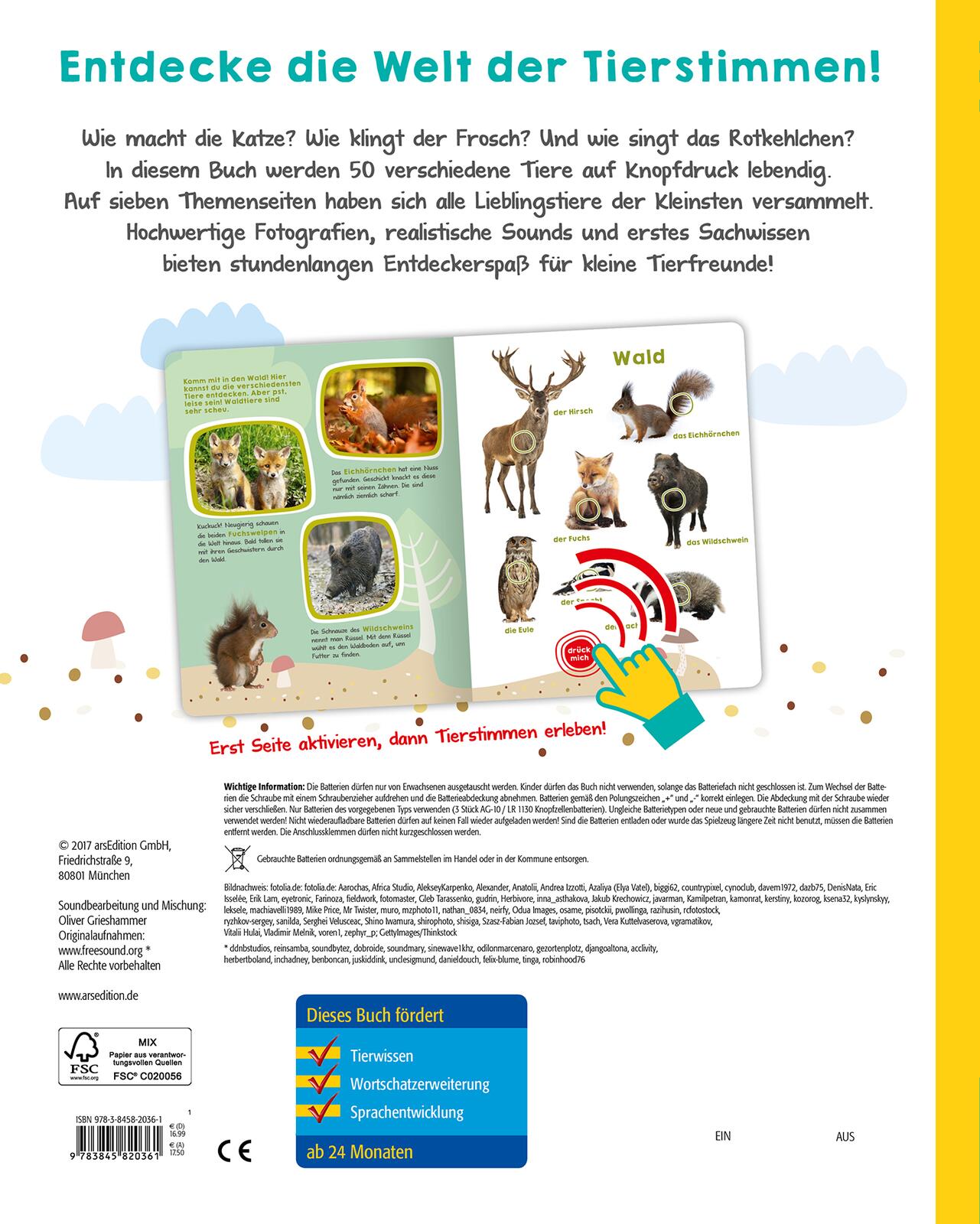 Mein großes Buch der Tiergeräusche Mein großes Buch der Tiergeräusche