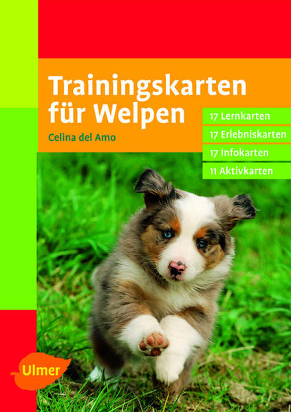 Trainingskarten für Welpen