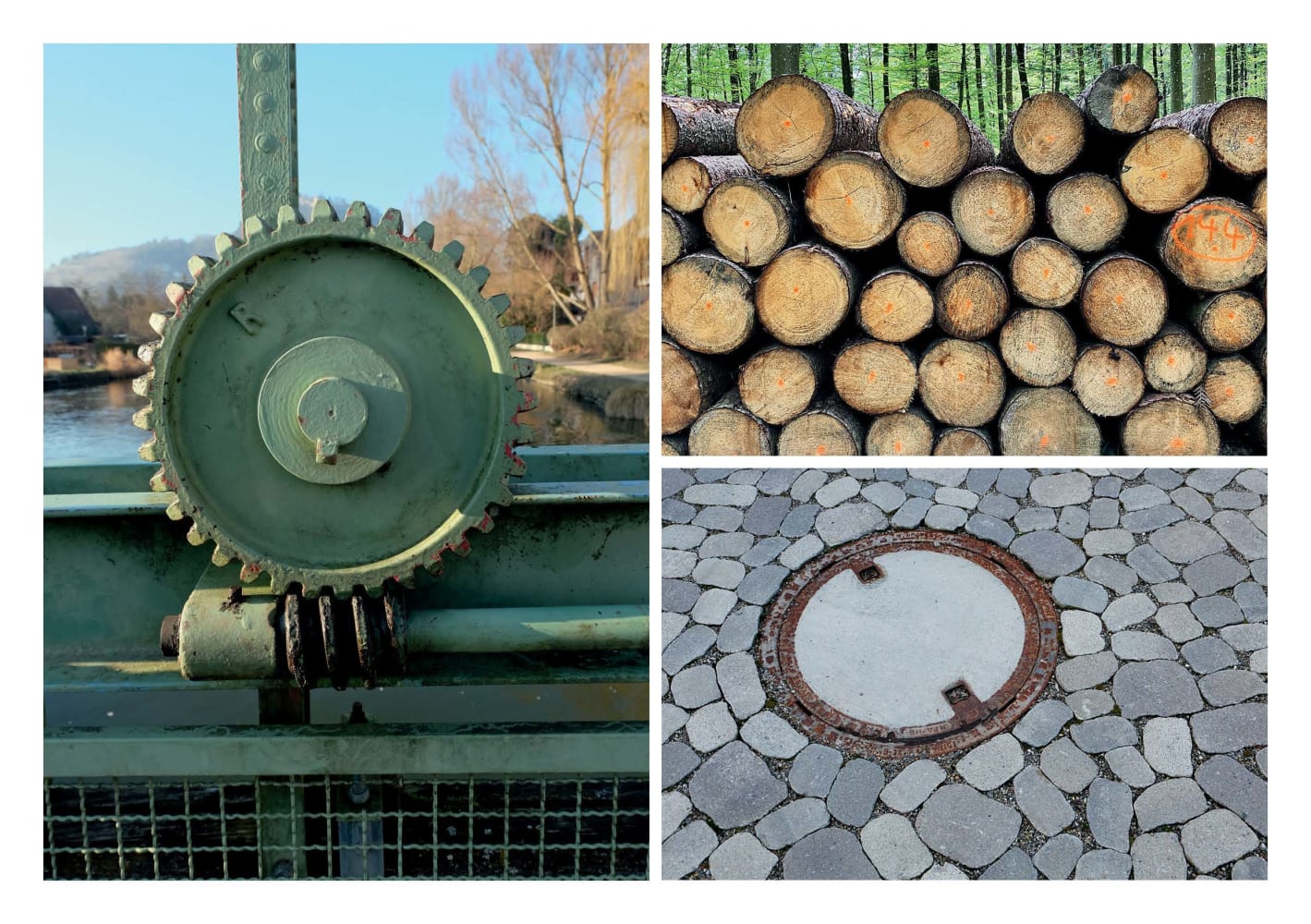 Fotografieren mit Kindern. 30 kleine Fotoprojekte zur Wahrnehmungsförderung und digitalen Bildung