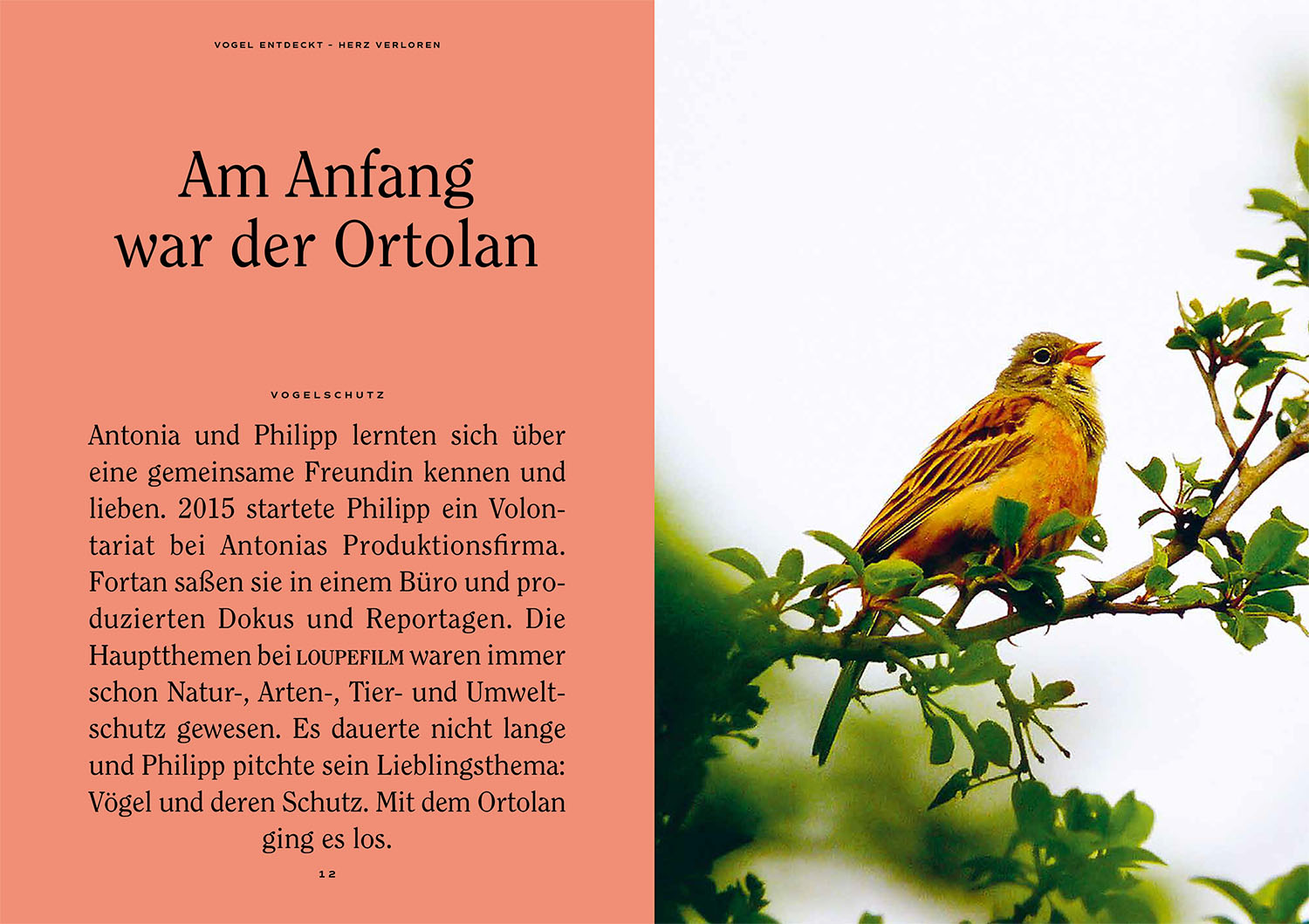 Vogel entdeckt - Herz verloren Vogel entdeckt - Herz verloren