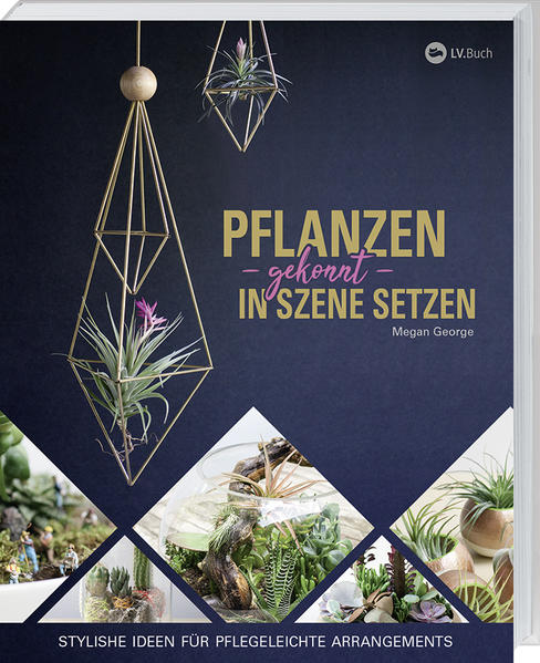 Pflanzen gekonnt in Szene setzen