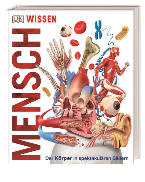 Wissen. Mensch Wissen. Mensch