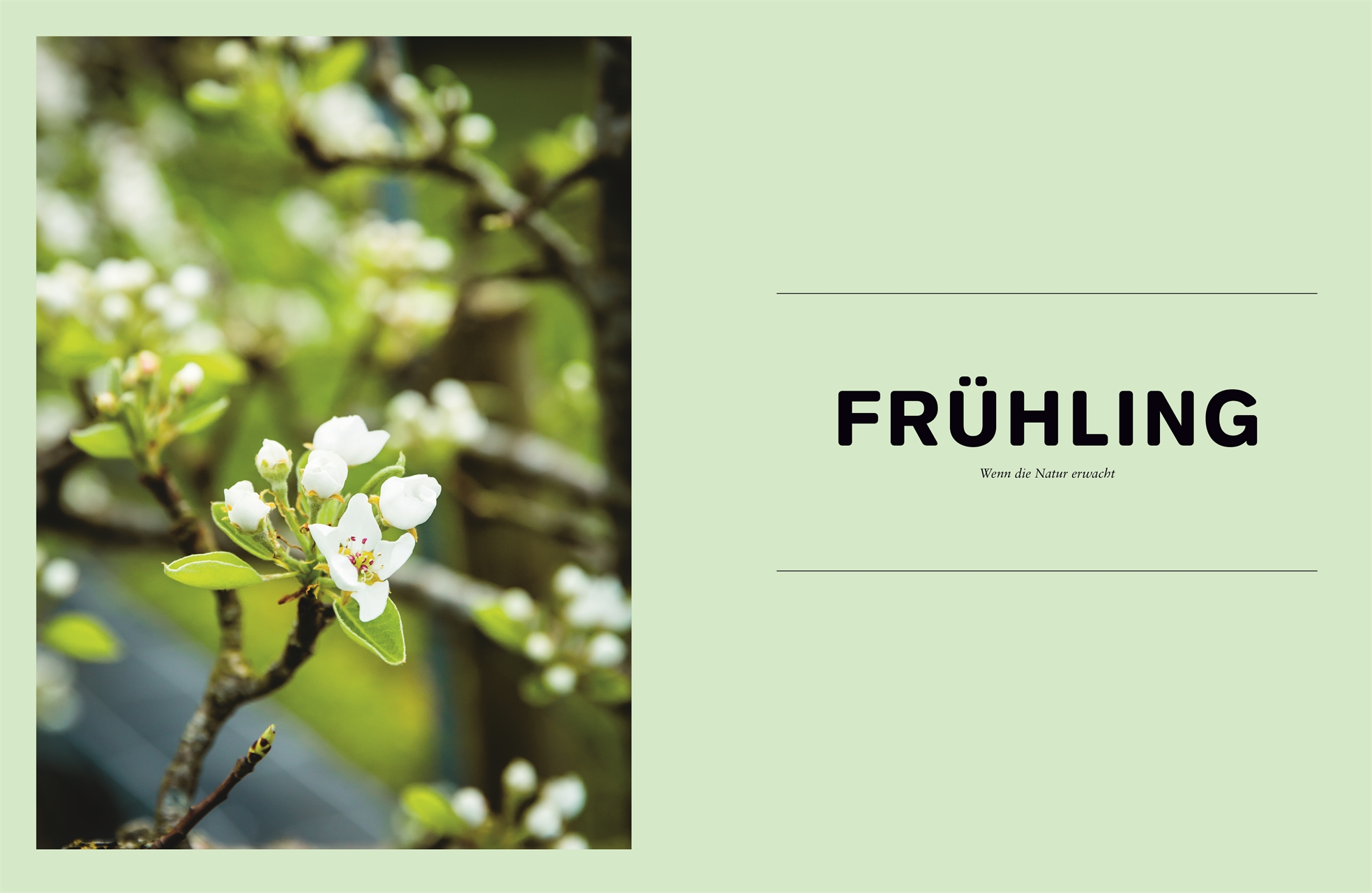 Grillen – das ganze Jahr