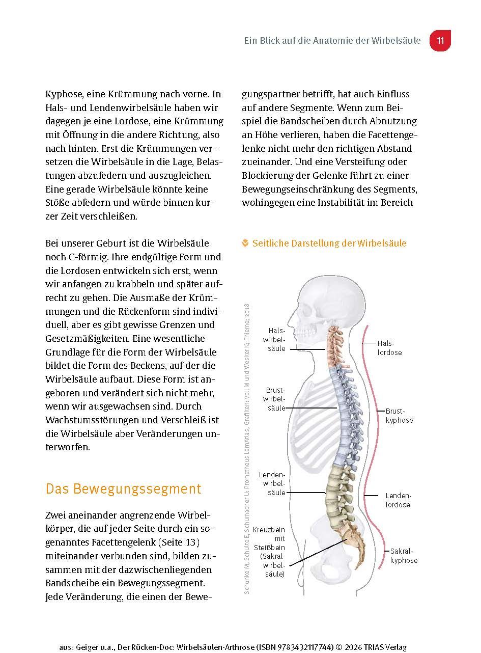 Der Rücken-Doc: Wirbelsäulen-Arthrose
