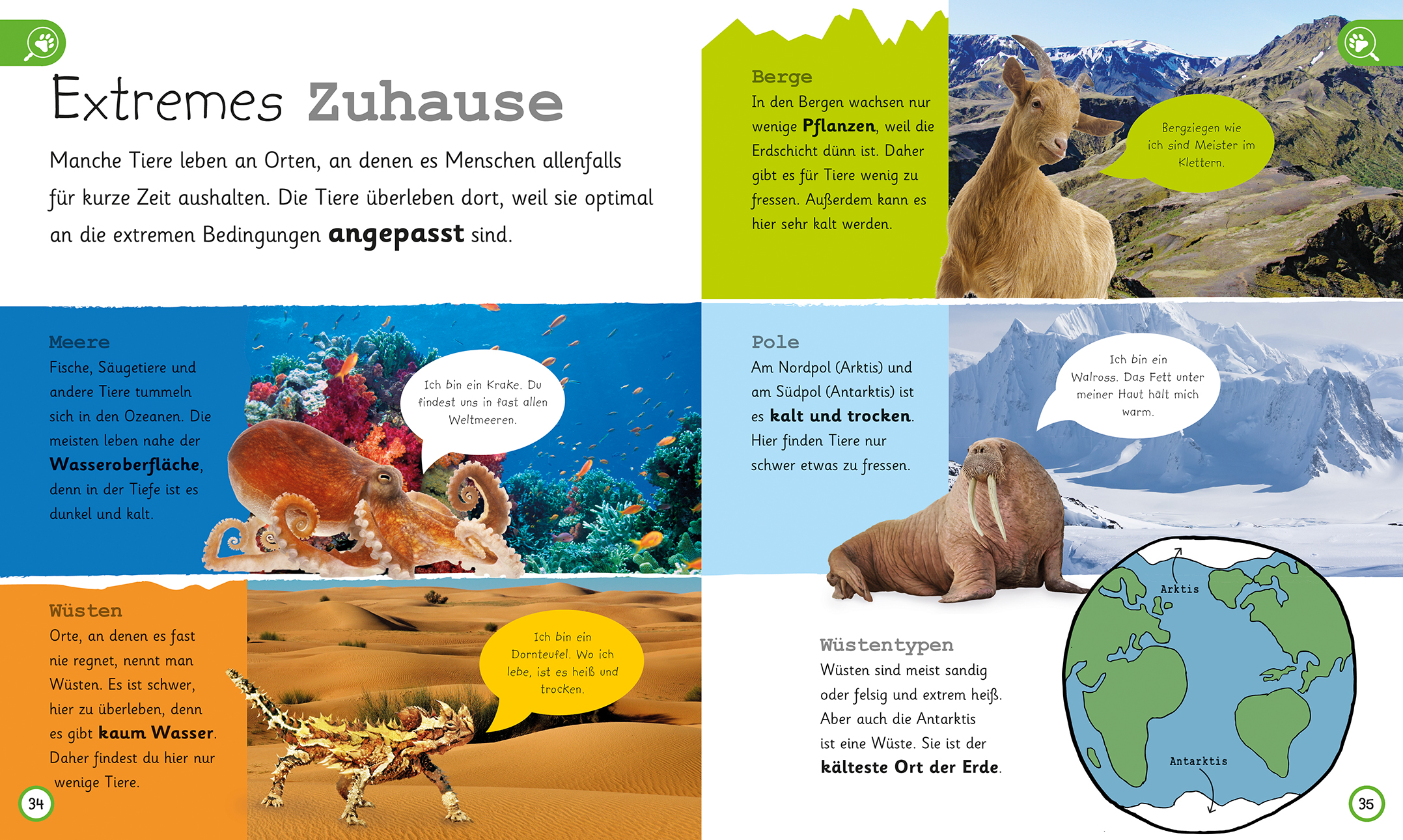 Was weißt du über Tiere?