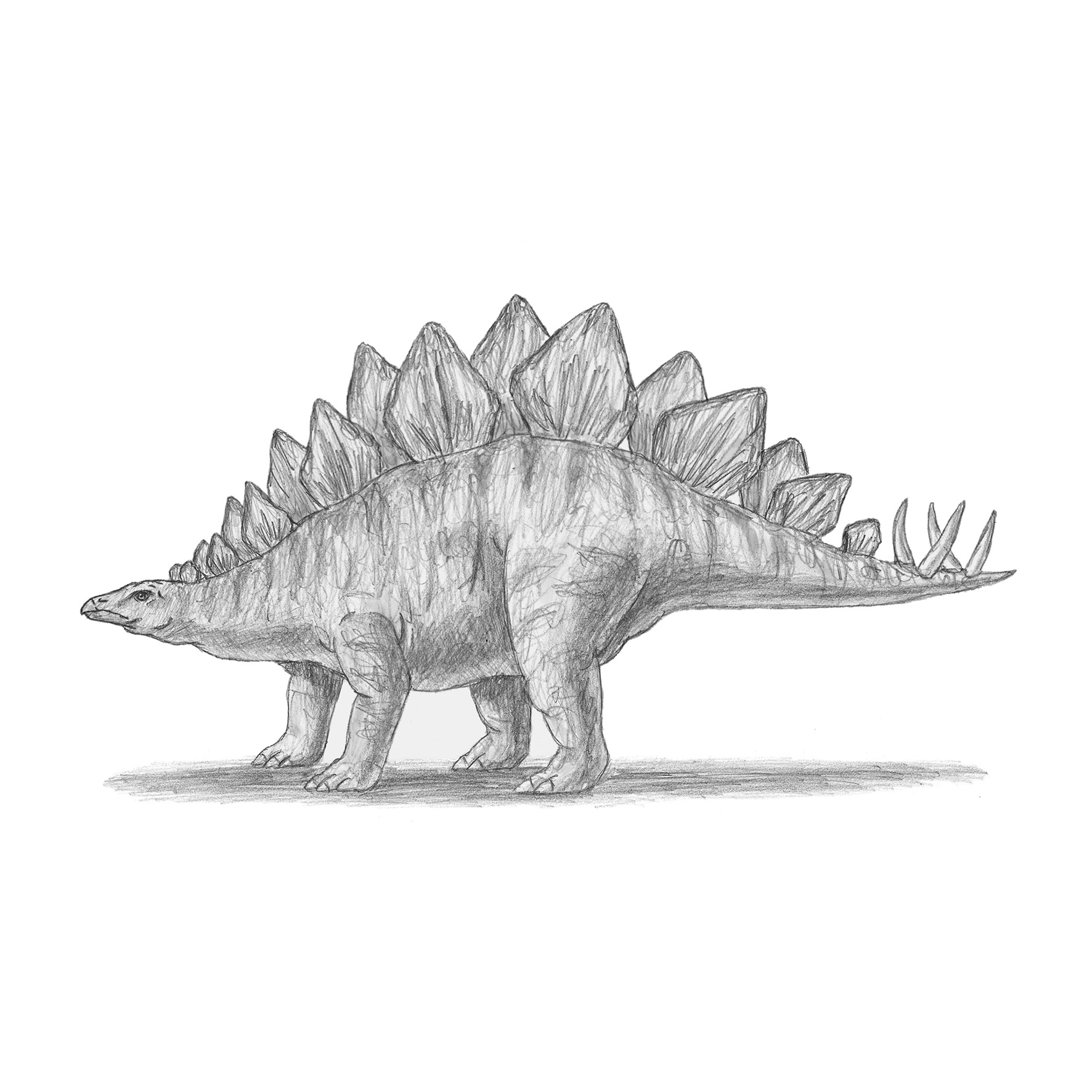 Die Kunst des Zeichnens für Kinder - Ich zeichne Dinosaurier