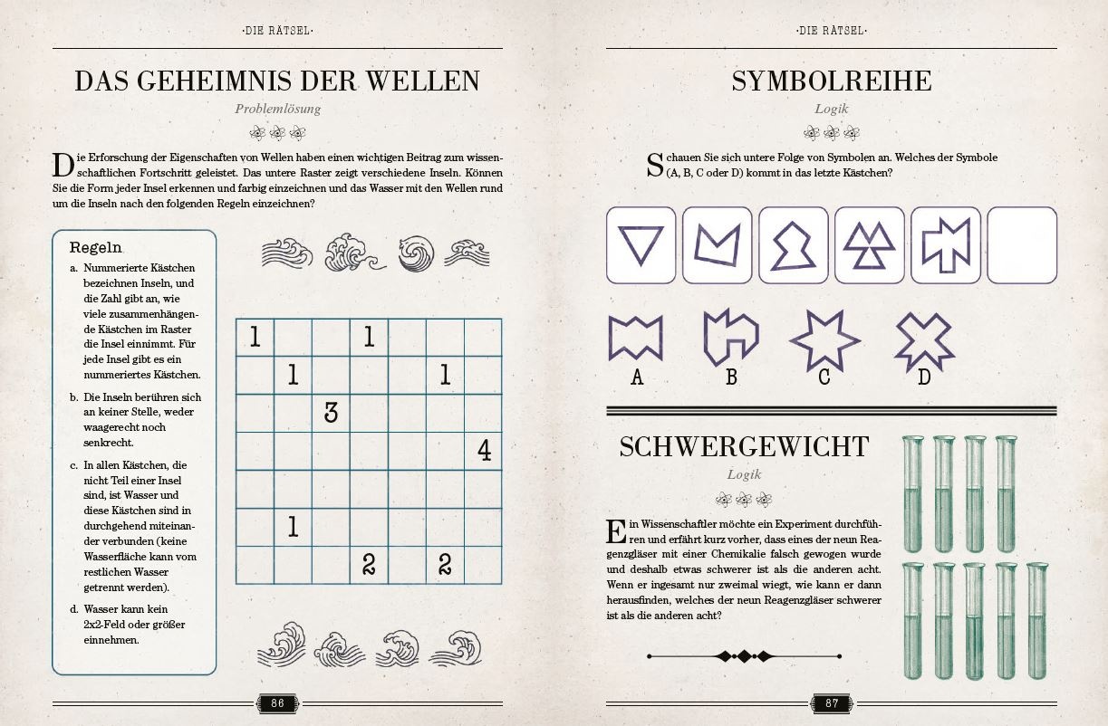 Einsteins Rätselbuch – Logikrätsel für geniale Köpfe