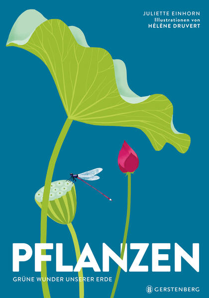 Pflanzen Pflanzen