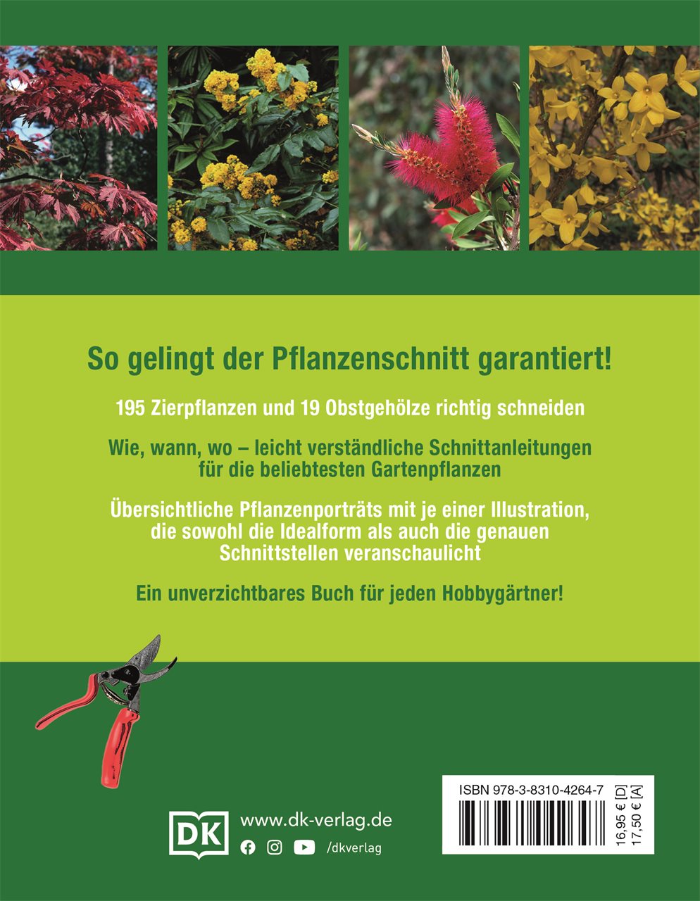 Gartenwissen Pflanzenschnitt