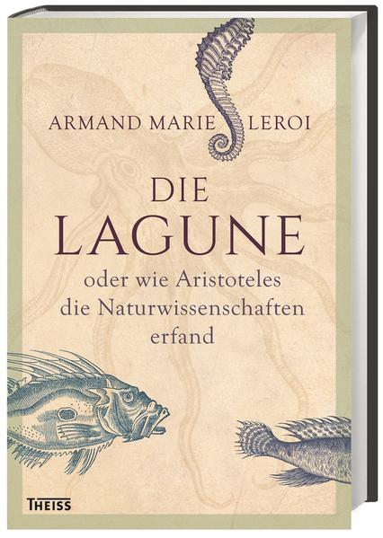 Die Lagune
