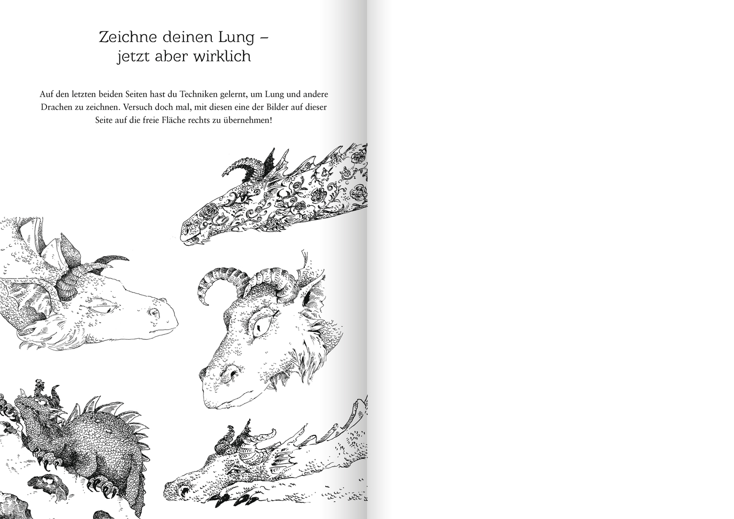 Drachenreiter. Fantastisches Malbuch