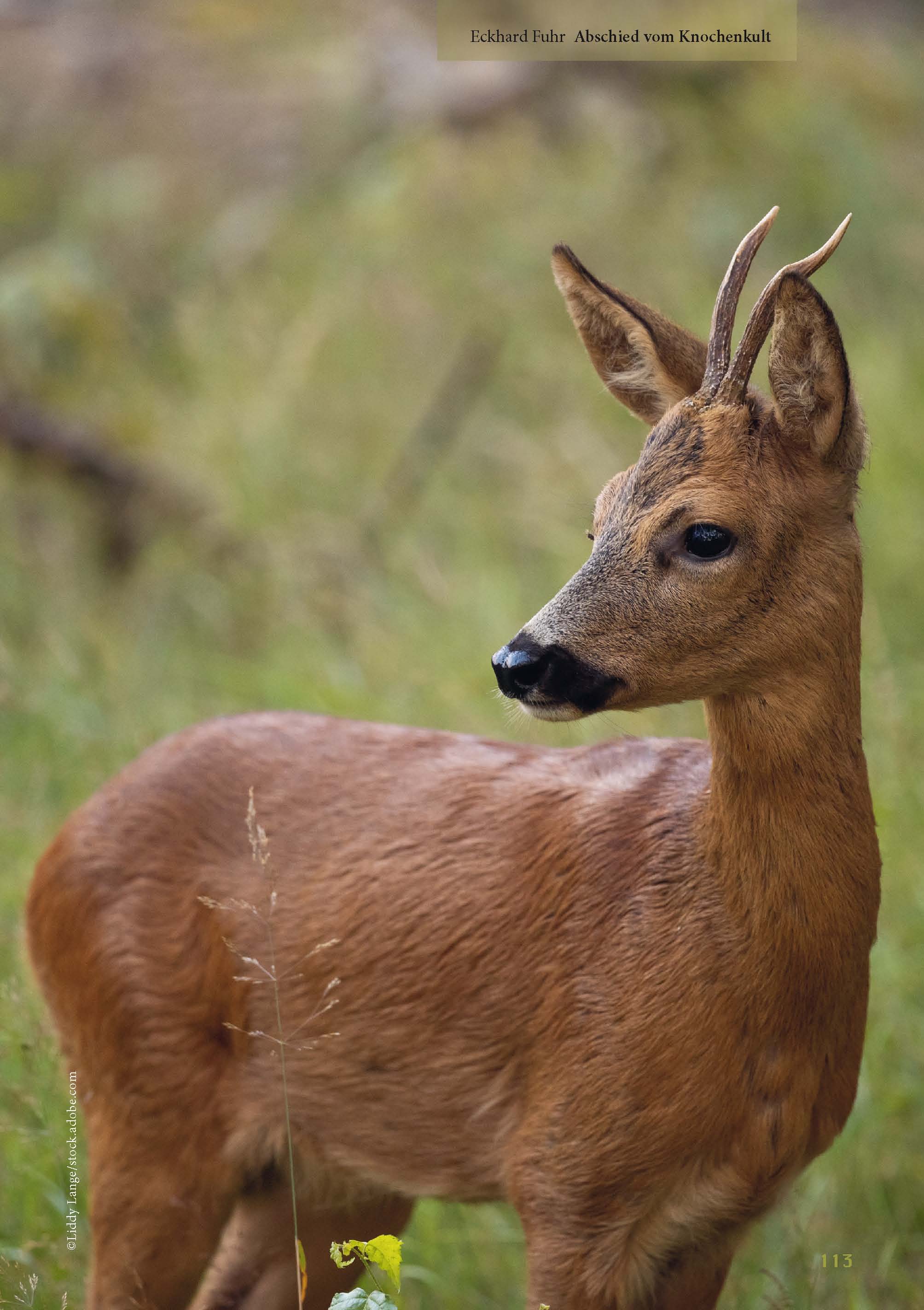 Lust auf Jagd