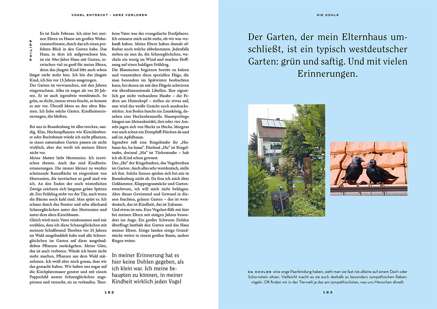 Vogel entdeckt - Herz verloren Vogel entdeckt - Herz verloren